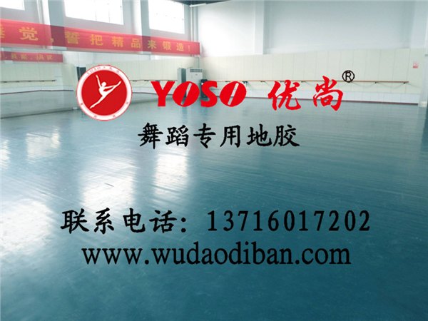 固定式舞蹈把杆，移动式舞蹈把杆，壁挂式舞蹈把杆