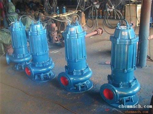 排污泵300WQ8001245图上海跃泉泵业