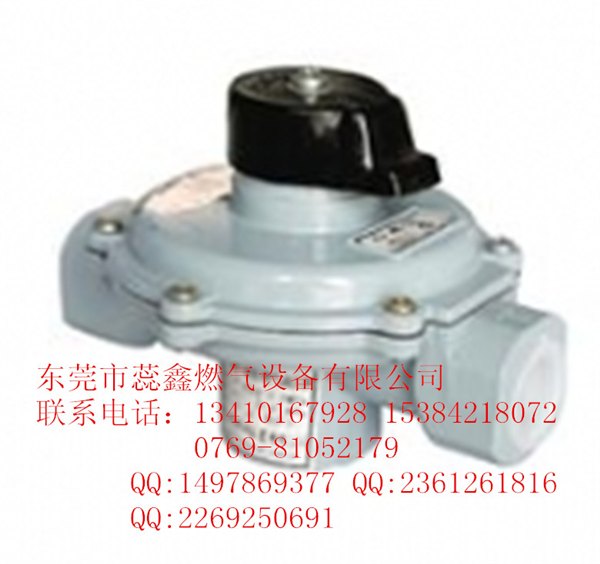 RTZ-31(21)中压进户表前燃气调压器燃气调压柜调压箱