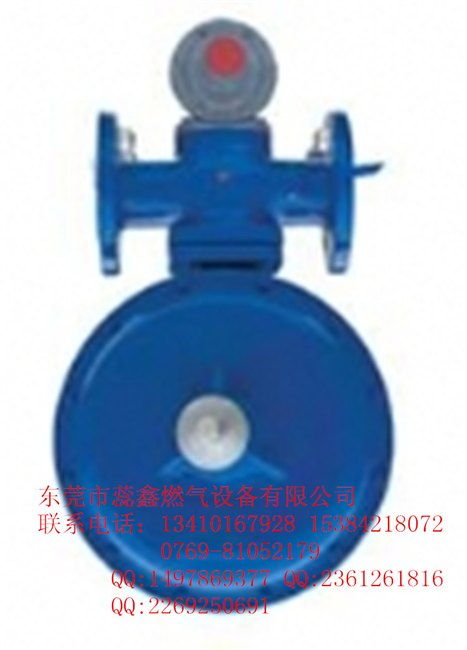 RTZ-21/40Q RTZ-21/50Q调压器减压阀调压阀 