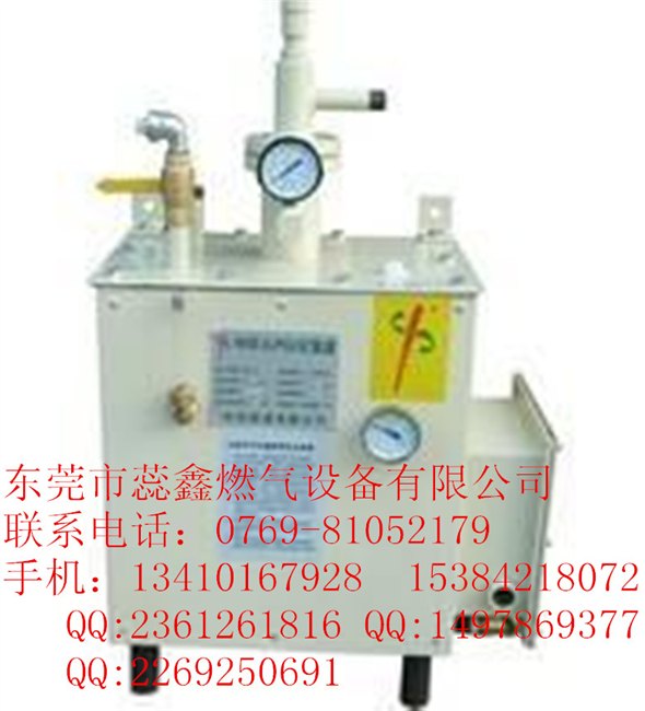 中邦气化炉/ZPEX气化炉/中邦气化器 