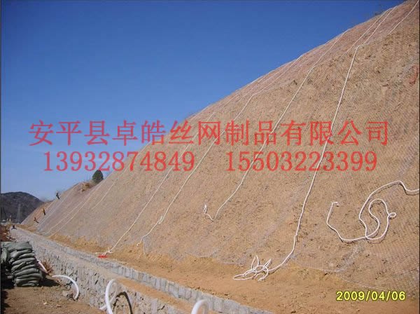 镀锌铁丝网,客土喷播镀锌铁丝网,客土喷播挂网,绿化喷播镀锌网