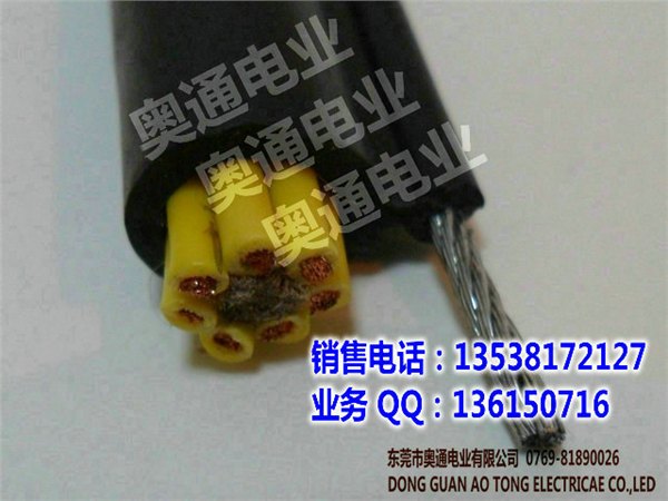RVVG多芯电缆,电动葫芦电缆,带钢绳电缆,带钢丝吊机电缆,起重机电缆