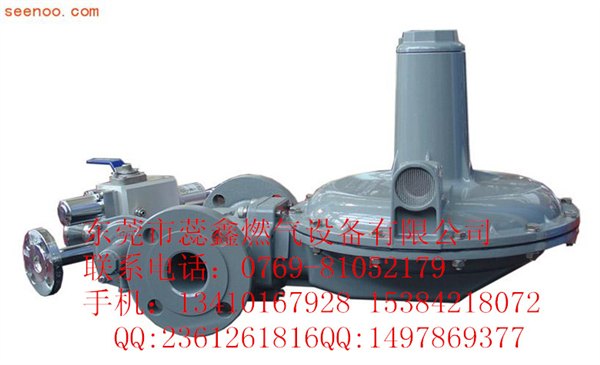 德国爱拓利减压器ACTARIS调压器B42R减压阀