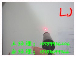 木材雕刻小红灯