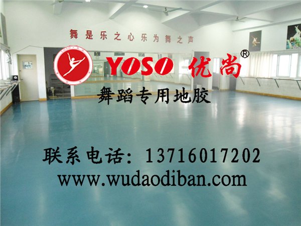舞蹈地胶吸音抗躁，舞蹈把杆出厂价，专业舞蹈把杆