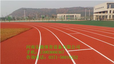 供应漯河优质塑胶运动足球场10mm，SJ-13