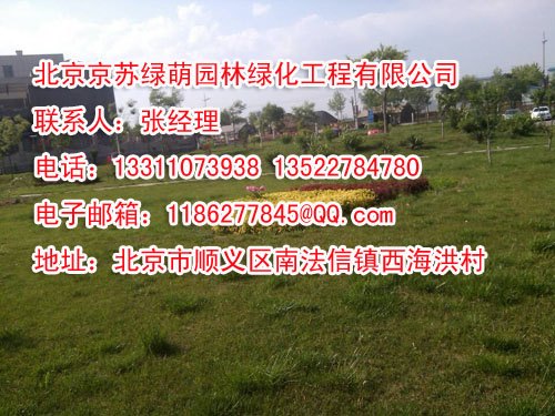 1厂区绿化苗木出售