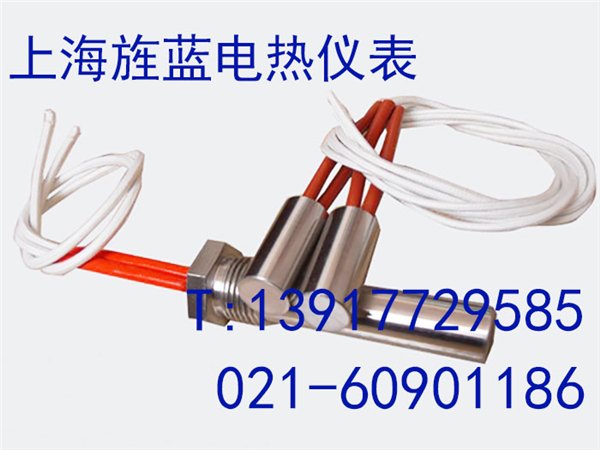 厂家直销单头电热管-旌蓝电热仪表