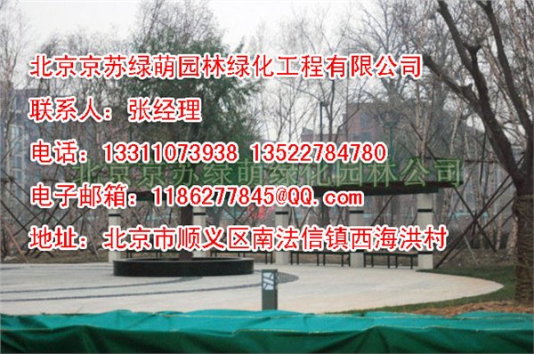屋顶绿化施工设计，北京屋顶绿化施工设计