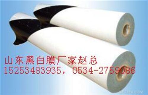 黑白保护膜,黑白保护膜价格图,保美塑业