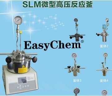 北京不锈钢微型反应釜
