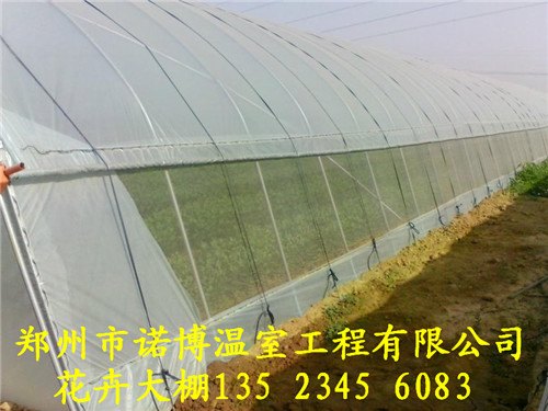 建造蔬菜大棚厂家 郑州温室大棚建造