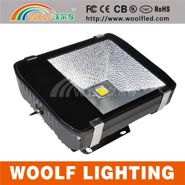 特价直销   80W 普瑞芯片 明纬电源 质量保证 东莞厂家