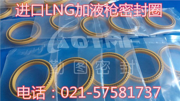 LNG加液枪密封圈