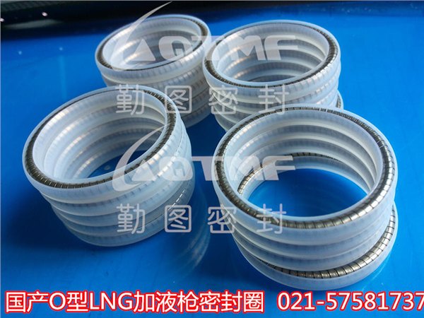 国产LNG密封圈 LNG弹簧蓄能密封圈