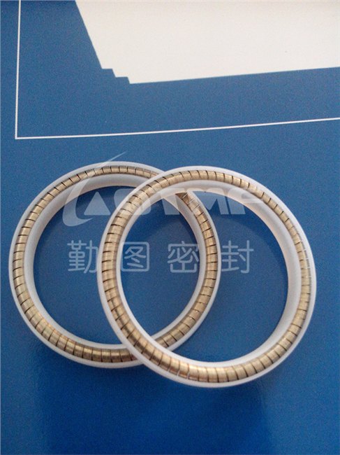 LNG低温杜瓦瓶密封圈