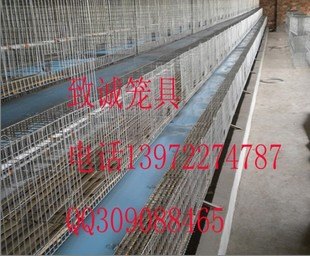 自动兔笼-致诚笼具厂