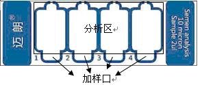 检测量大精子计数板