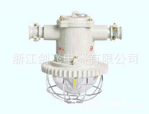 DGS-12/18/127L(D)矿用防爆冷光源巷道灯（LED）