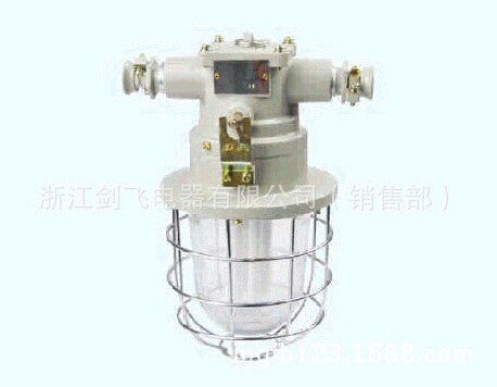 DGS-13-18W/127Y(A)矿用隔爆型节能灯