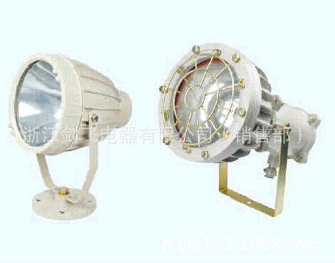 DGE-127W DGE-175W/127矿用防爆投光灯