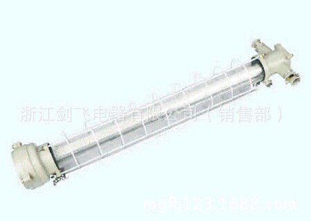 DGS-18W/127L(D)矿用隔爆型巷道灯（LED）
