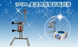 浙江销售25ml全透明蓝宝石反应釜