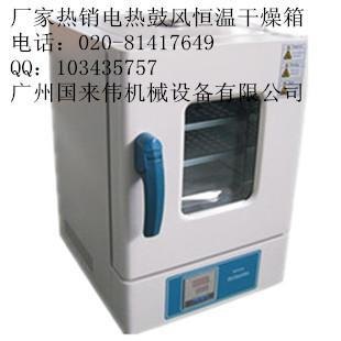 广东省广州市不锈钢内胆恒温电热鼓风干燥箱