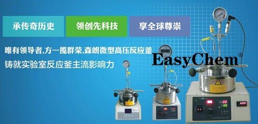 供应北京小型高压微型反应釜