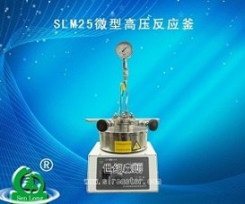 大连25ML微型高压反应釜
