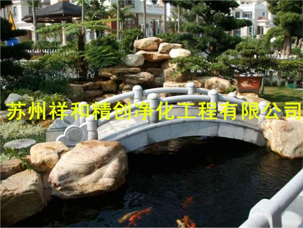 南京市专业处理景观鱼池水发绿，可靠，先进最科学的