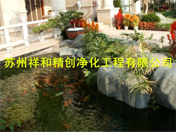 苏州市最专业最科学处理鱼池水发绿，中国达标环保工