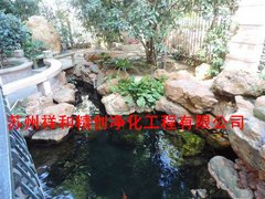 服务好的鱼池水处理鱼池水发绿青苔，祥和精创净化工