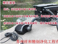 祥和精创净化工程出售划算的鱼池水处理过滤净化