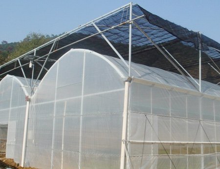 薄膜温室大棚建设哪家好？【金威温室】