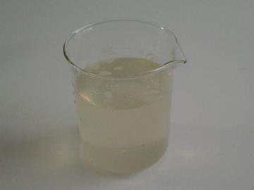 流变改性剂 CorRheo PMX