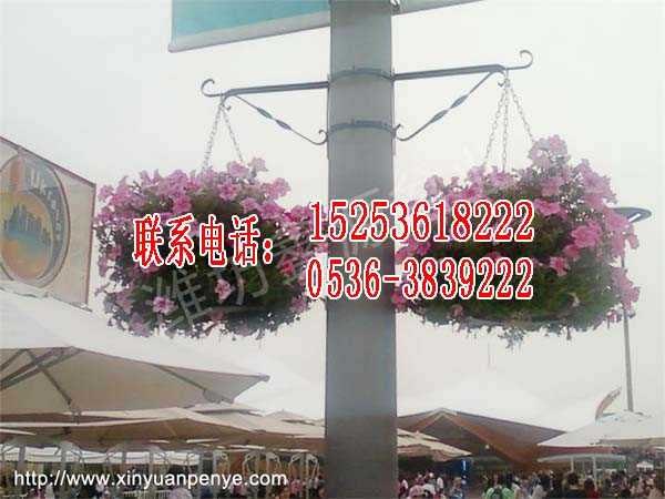 节能花盆价格