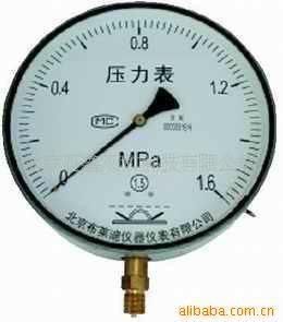 波登管压力表 真空压力表 不锈钢耐震压力表 Y-100H 举报