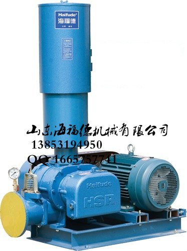 HSR100罗茨风机