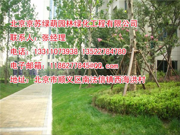 北京绿化景观设计，北京绿化景观设计价格
