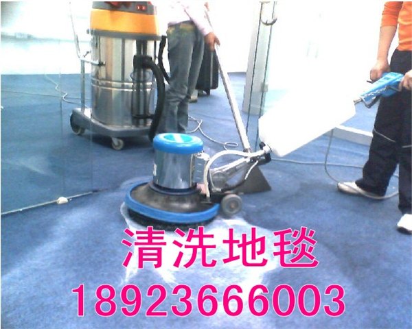 广东清洗地毯上门服务