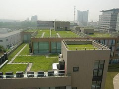 耐根穿刺防水卷材价格 价位合理的屋面种植防水卷材