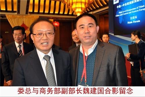 金诚担保金诚投资金诚担保