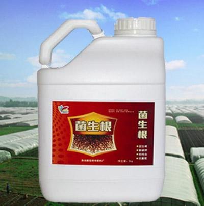 微生物菌肥料，微生物菌肥料生产厂家，微生物菌肥料