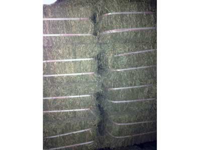 牧草打包机|锯末打包机