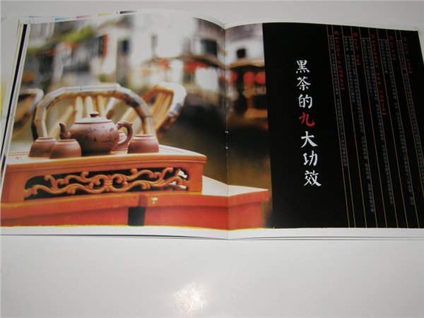 济南规模最大的精装画册印刷公司