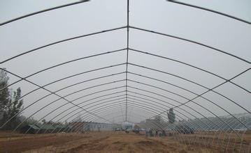 温室骨架加工厂//大棚温室配件厂家//兴盛达