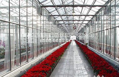 智能温室工程 山东智能温室工程 河北智能温室工程