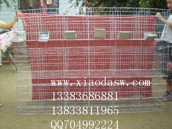 鹌鹑笼狐狸笼鸡鸽兔笼蛋鸡笼鸽笼商品兔笼殖网塑料网种兔笼肉兔笼